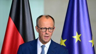 Merz: Von Trump vorgeschlagene Waffenruhe ist "eine sehr gute Entwicklung"