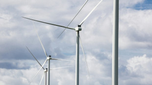 Energias e&oacute;lica e solar ultrapassam combust&iacute;veis f&oacute;sseis na UE em 2025