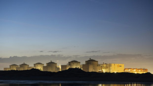 Des méduses forcent l'arrêt de la centrale nucléaire de Gravelines