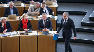 Ziel Neuwahlen: AfD beantragt Aufl&ouml;sung des Th&uuml;ringer Landtags