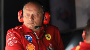 F1: Hamilton affiche un état d'esprit "exemplaire" et "progresse", affirme Vasseur à l'AFP