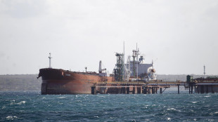 Kiev, 'stanotte colpite 21 petroliere russe nel Mar d'Azov'