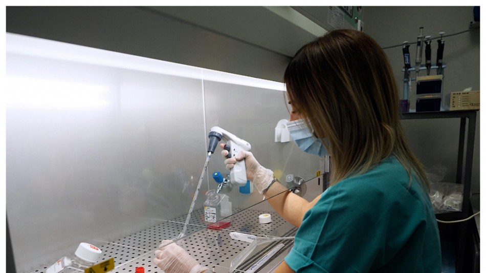 Trovata una proteina nemica dell'Alzheimer, &egrave; prodotta dai tumori