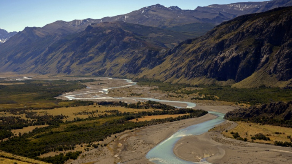 Auf Schafsfarm in Patagonien: Forscherteam entdeckt neuen Langhalssaurier