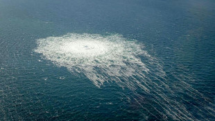 Le gaz a cess&eacute; de s'&eacute;chapper de Nord Stream 1, mais pas de Nord Stream 2, selon la Su&egrave;de