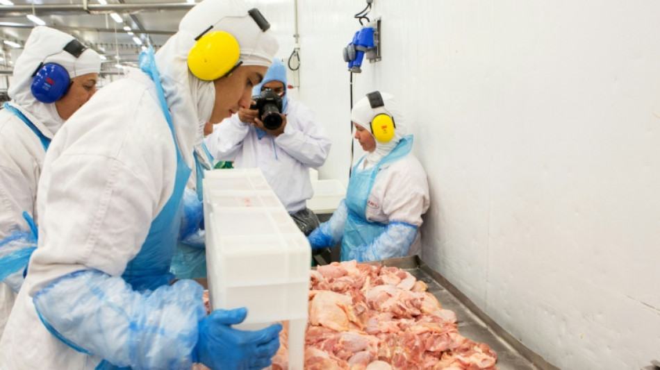 M&eacute;xico suspende la importaci&oacute;n de pollo brasile&ntilde;o por una enfermedad de aves