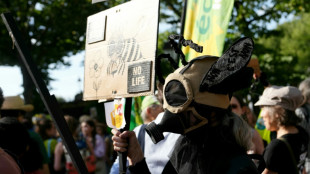 Indignaci&oacute;n en Francia por una ley para permitir pesticidas que da&ntilde;an a las abejas