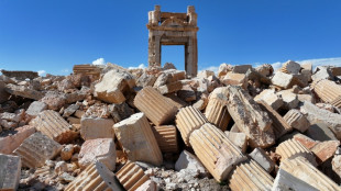 US-Soldaten in Syrien in mutmaßlichem Hinterhalt des IS getötet