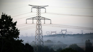 La consommation d'&eacute;lectricit&eacute; stable en 2025 en France, signe de son retard &agrave; sortir des &eacute;nergies fossiles