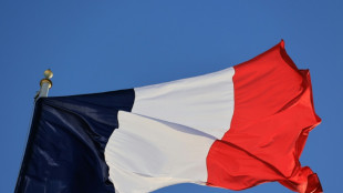 Francia quiere castigar con m&aacute;s fuerza las injerencias extranjeras antes de la presidencial