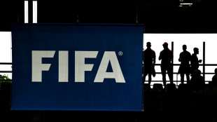 Fall Diarra: FIFA beschließt Übergangsregeln zu Transfers