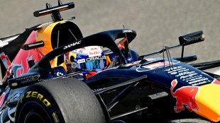 Verstappen says new Red Bull car gave him 'goosebumps' 