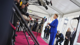 Danimarca, 'abbiamo il mandato per abbattere i droni'