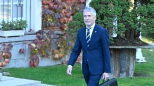 Ocho detenidos en los disturbios antinmigrantes en el sureste de España