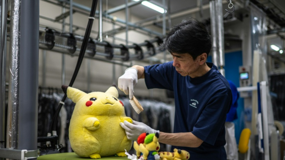 Una empresa de limpieza se vuelve viral en Jap&oacute;n por su servicio de "spa para peluches"