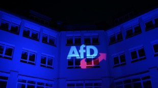 Positionspapier: AfD-Bundestagsfraktion will Nord-Stream-Pipeline reaktivieren
