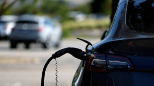 Même aux Etats-Unis, les voitures électriques sont plus écologiques