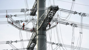 Verbrauchersch&uuml;tzer fordern schnellere Entlasstungen bei Netzentgelten