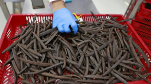 En Isra&euml;l, la technoscience au service de la maturation de la vanille