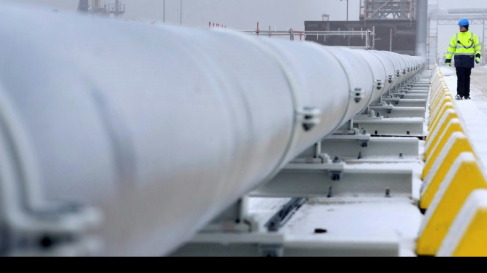 Energiewirtschaftsverband bef&uuml;rwortet strategische Gasreserve f&uuml;r Krisenfall