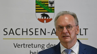 Haseloff fordert von SPD Zugeständnisse in Migrationspolitik