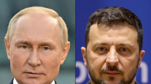 Russians welcome idea of Putin and Zelensky meeting