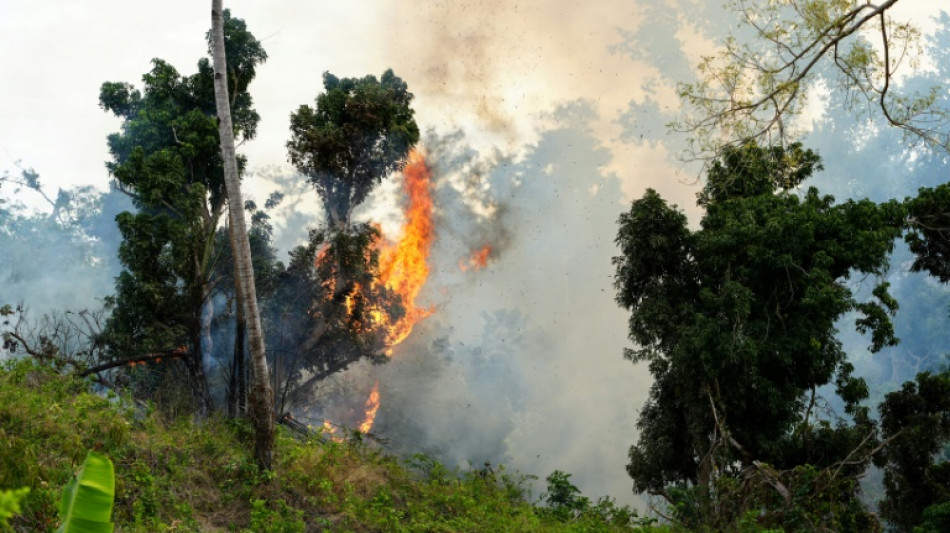 Brûlis illégaux et cyclone, un terrain propice pour les feux à Mayotte