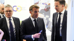 US-Truppenabzug: Europ&auml;er wollen eigene Verteidigungsbereitschaft st&auml;rken - Gipfel in Eriwan