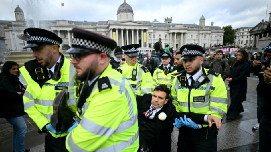 Royaume-Uni: la justice se penche sur l'interdiction critiqu&eacute;e d'un groupe propalestinien