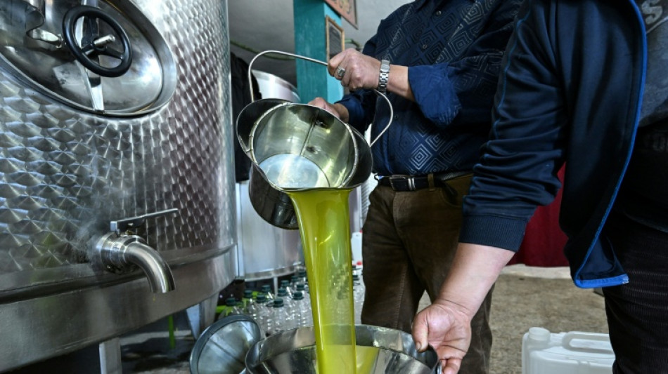 L'huile d'olive import&eacute;e dans l'UE pas ou peu contr&ocirc;l&eacute;e