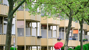 Aktionsplan vorgelegt: Bauministerin Hubertz will Baukosten senken 