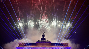 Silvester: Dutzende Festnahmen in Berlin - Tausende Beamte im Einsatz