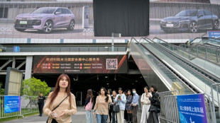 Auto Shanghai to showcase electric competition at sector's new frontier