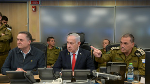 Katz difende capo Idf, 'è suo diritto dire la sua posizione'
