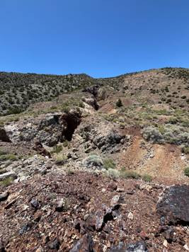 A rocky mountain with bushes and a crack in the ground AI-generated content may be incorrect.