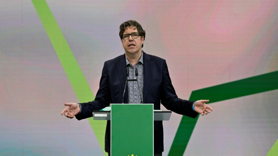 Gr&uuml;ne kritisieren Freigabe von &Ouml;lreserven als "politische Dummheit"