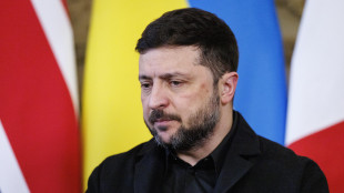 Zelensky, il Donetsk e Zaporizhzhia sono nodi irrisolti