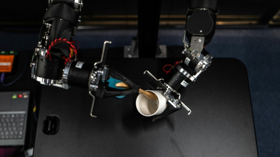 Des robots "intelligents": l'ambitieuse qu&ecirc;te de l'IA mat&eacute;rielle