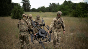 Ucrania pide apoyo "constante" tras anuncio de EEUU de suspensión de envío de algunas armas