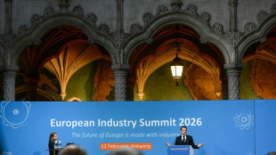 R&eacute;formes de l'UE: constat d'urgence partag&eacute;, divergences Macron-Merz sur les recettes