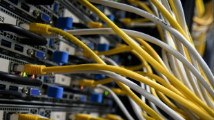 France's data centre ambitions bump up against rural fears