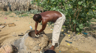 L&iacute;deres tribales yemenitas presentan en la ONU un c&oacute;digo para garantizar la ayuda humanitaria