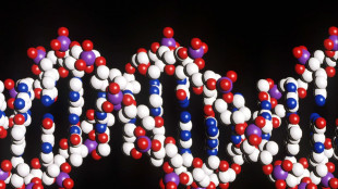 Anche il Dna ereditato alla nascita decide il destino dei tumori