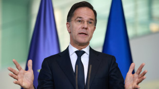 Rutte, 'Cina è il maggior partner di Mosca, la guerra va avanti per il suo sostegno'