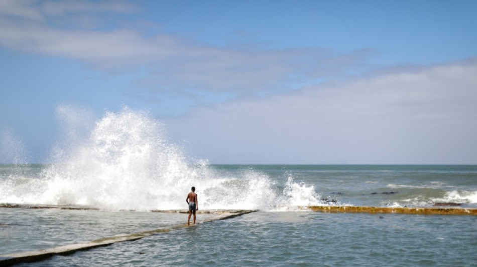 High seas treaty moves closer to reality with first signatures