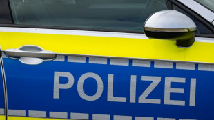 Hei&szlig;e Diskonacht sorgt in Mainz f&uuml;r Polizeieinsatz - Auto bei Sex besch&auml;digt