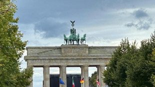 Crolla l'indice Zew in Germania, a marzo -17,2 con impatto guerra