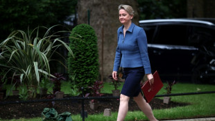 Reino Unido prohibirá al grupo Palestine Action tras una acción en que dañaron aviones británicos