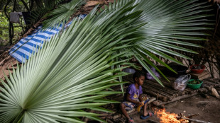 Les derniers chasseurs-cueilleurs de Tha&iuml;lande revendiquent leur droit aux terres