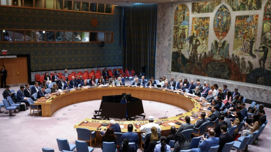 Se espera que EEUU vete nueva resolución sobre Gaza en el Consejo de Seguridad